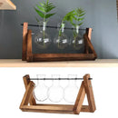 Modern wooden frame glass vase set of 5 living room terrarium by Decorbites