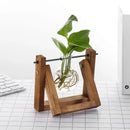 Modern wooden frame glass vase set of 5 living room terrarium by Decorbites
