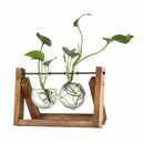 Modern wooden frame glass vase set of 5 living room terrarium by Decorbites