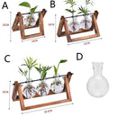 Modern wooden frame glass vase set of 5 living room terrarium by Decorbites