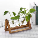 Modern wooden frame glass vase set of 5 living room terrarium by Decorbites