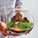 GobekUsa Moss Ball Glass Vase for Desktop Decor