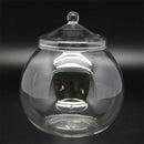 GobekUsa Moss Ball Glass Vase for Desktop Decor