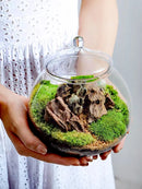 GobekUsa Moss Ball Glass Vase for Desktop Decor