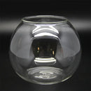 Modern moss ball glass vase desktop terrarium office decor by Decorbites