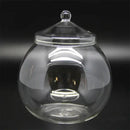 Modern moss ball glass vase desktop terrarium office decor by Decorbites