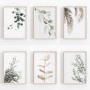 GobekUsa Nordic Botanical Poster Canvas Art - Eucalyptus Palm