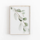 GobekUsa Nordic Botanical Poster Canvas Art - Eucalyptus Palm