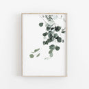 GobekUsa Nordic Botanical Poster Canvas Art - Eucalyptus Palm