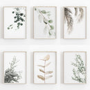 GobekUsa Nordic Botanical Poster Canvas Art - Eucalyptus Palm