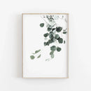 GobekUsa Nordic Botanical Poster Canvas Art - Eucalyptus Palm