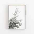 GobekUsa Nordic Botanical Poster Canvas Art - Eucalyptus Palm