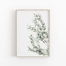 GobekUsa Nordic Botanical Poster Canvas Art - Eucalyptus Palm