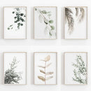 Minimalist green and grey nordic botanical poster set living room