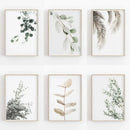 Minimalist green and grey nordic botanical poster set living room