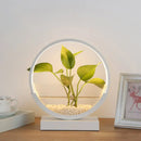 GobekUsa Nordic Circle Table Lamp with Hydroponics Plant Pot Design and LED Night Light