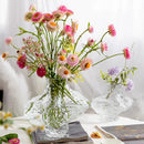 GobekUsa Nordic Frosting Glass Vase - Modern Home Decor