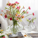 GobekUsa Nordic Frosting Glass Vase - Modern Home Decor by Decorbites