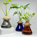 GobekUsa Nordic Glass Vase for Home Decor - Small Transparent Vase