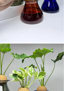 GobekUsa Nordic Glass Vase for Home Decor - Small Transparent Vase