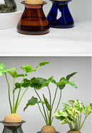 GobekUsa Nordic Glass Vase for Home Decor - Small Transparent Vase