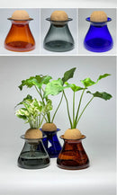 GobekUsa Nordic Glass Vase for Home Decor - Small Transparent Vase