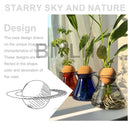 GobekUsa Nordic Glass Vase for Home Decor - Small Transparent Vase