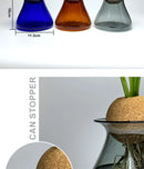 GobekUsa Nordic Glass Vase for Home Decor - Small Transparent Vase