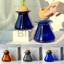 GobekUsa Nordic Glass Vase for Home Decor - Small Transparent Vase