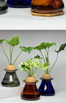 GobekUsa Nordic Glass Vase for Home Decor - Small Transparent Vase