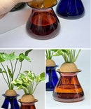 GobekUsa Nordic Glass Vase for Home Decor - Small Transparent Vase