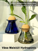 GobekUsa Nordic Glass Vase for Home Decor - Small Transparent Vase