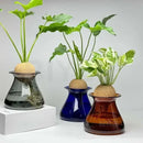 Deep blue nordic glass vase for living room hydroponic decor by Decorbites