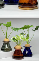 Deep blue nordic glass vase for living room hydroponic decor by Decorbites