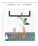 GobekUsa Nordic Iron Golden Hydroponic Vase with Dried Flowers