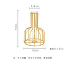 GobekUsa Nordic Iron Golden Hydroponic Vase with Dried Flowers
