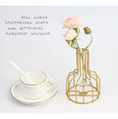 GobekUsa Nordic Iron Golden Hydroponic Vase with Dried Flowers