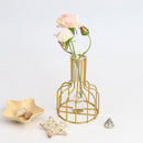 GobekUsa Nordic Iron Golden Hydroponic Vase with Dried Flowers