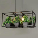 GobekUsa Planter Light Chandelier