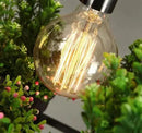 GobekUsa Planter Light Chandelier