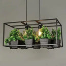 GobekUsa Planter Light Chandelier
