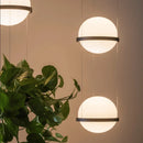 GobekUsa Planter Light Pendant Chandelier