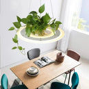 GobekUsa Planter Light Table Pendant