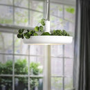GobekUsa Planter Pendant Lighting
