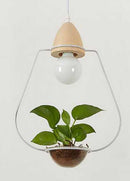 GobekUsa Pot Pendant Planter Light