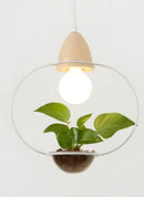 GobekUsa Pot Pendant Planter Light
