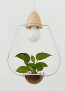 GobekUsa Pot Pendant Planter Light