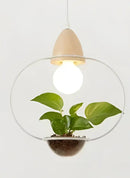 GobekUsa Pot Pendant Planter Light
