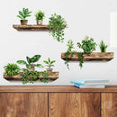 GobekUsa Potted Plant Wall Decals - DIY Home Decoration