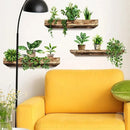 GobekUsa Potted Plant Wall Decals - DIY Home Decoration